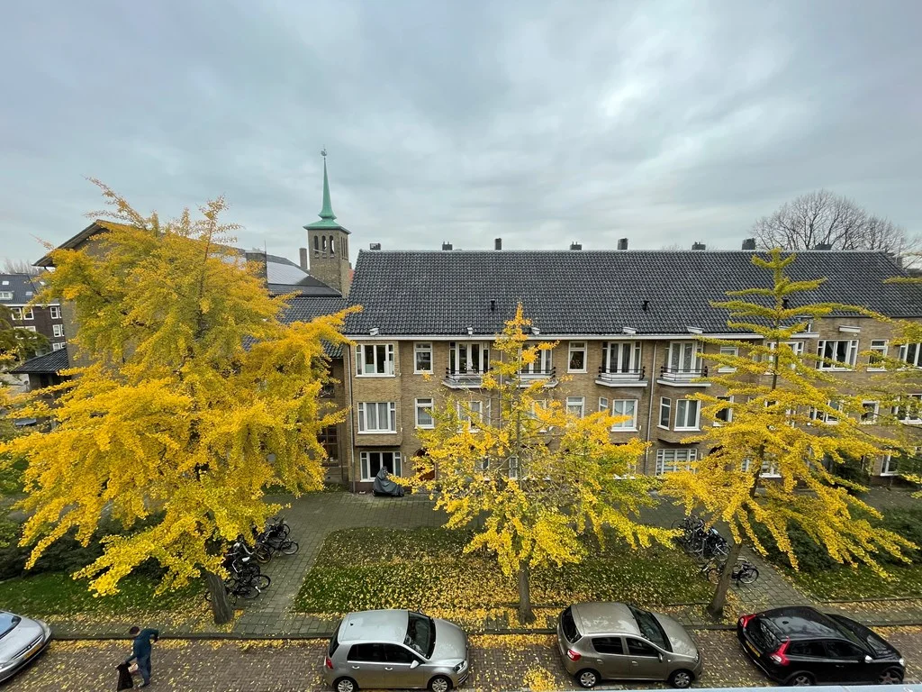 Rooftop with 1 bedroom, Rivierenbuurt , Amsterdam in Amsterdam — photo 9